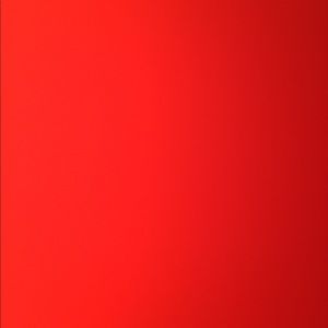 Meet your Posher, Gavin